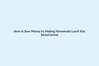 How to Save Money by Making Homemade Lunch Kits featured image