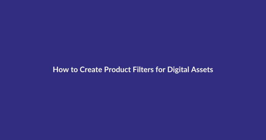 How to Create Product Filters for Digital Assets guide for digital product sellers