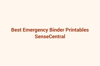 Best Emergency Binder Printables featured image